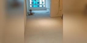 TilerKeongFeature03-.jpg