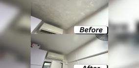 SGTDemolitionPteLtdPaintingFeature04-.jpg