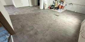 EzonRenovationPteLtd_VinylFeature03-.jpg